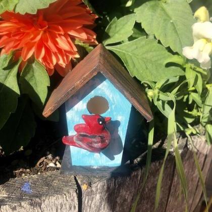 Birdhouse With Bird Inside Pot Or Home Decor..