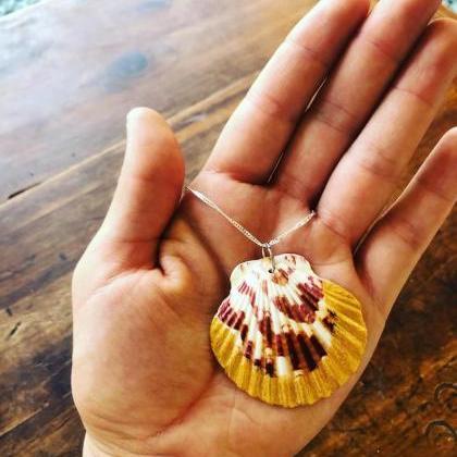 Gold Shell Necklace,sea Shell Necklace,gold..