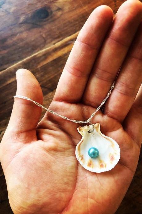 Real Seashell and Fresh Water Pearl and crystal Necklace-Sea Shell Necklace--Dainty Necklace-Pearl Necklace-Shell Necklace-Beach Jewelry-